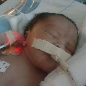 Meet your Posher, Carolina